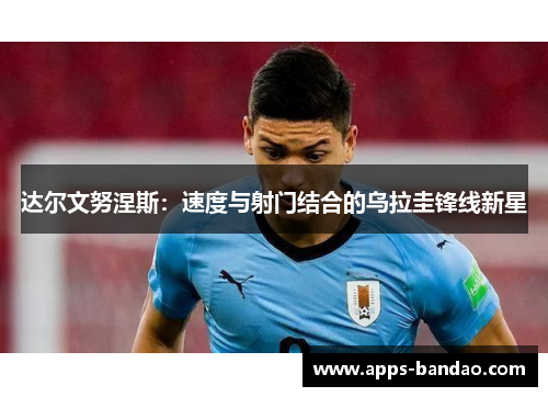 达尔文努涅斯：速度与射门结合的乌拉圭锋线新星