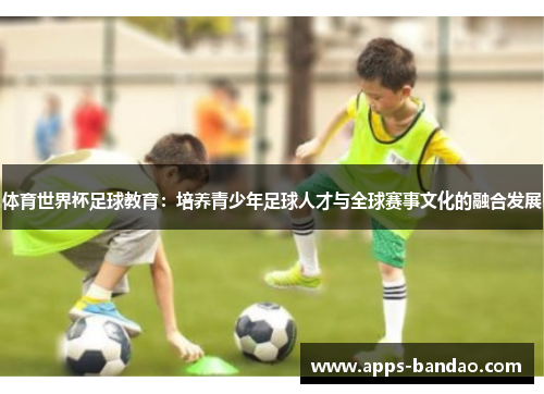 体育世界杯足球教育：培养青少年足球人才与全球赛事文化的融合发展