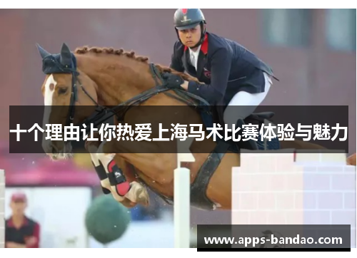 十个理由让你热爱上海马术比赛体验与魅力 十个理由让你热爱上海马术比赛体验与魅力