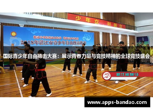 国际青少年自由搏击大赛：展示青春力量与竞技精神的全球竞技盛会