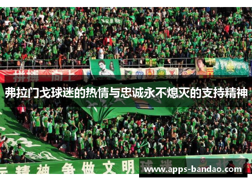 弗拉门戈球迷的热情与忠诚永不熄灭的支持精神