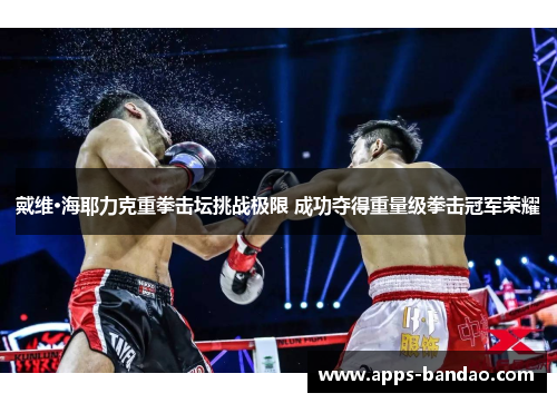 戴维·海耶力克重拳击坛挑战极限 成功夺得重量级拳击冠军荣耀