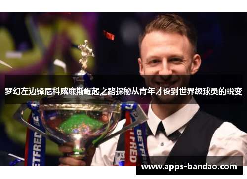 梦幻左边锋尼科威廉斯崛起之路探秘从青年才俊到世界级球员的蜕变