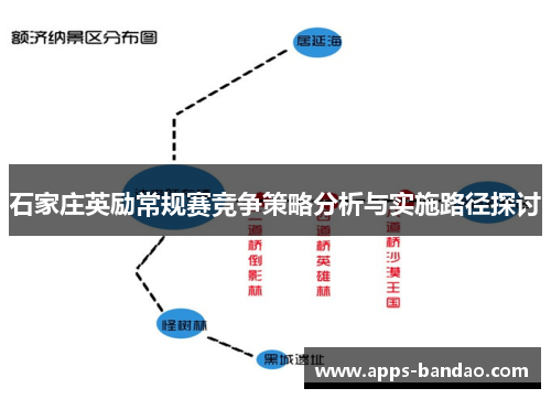 石家庄英励常规赛竞争策略分析与实施路径探讨