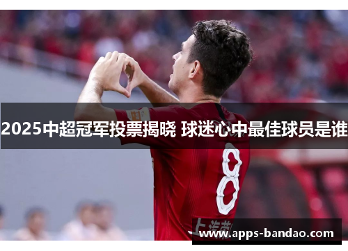 2025中超冠军投票揭晓 球迷心中最佳球员是谁