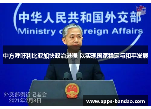 中方呼吁利比亚加快政治进程 以实现国家稳定与和平发展 中方呼吁利比亚加快政治进程 以实现国家稳定与和平发展