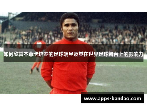 如何欣赏本菲卡培养的足球明星及其在世界足球舞台上的影响力