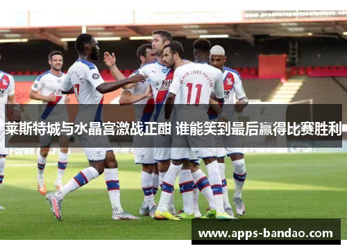 莱斯特城与水晶宫激战正酣 谁能笑到最后赢得比赛胜利 莱斯特城与水晶宫激战正酣 谁能笑到最后赢得比赛胜利