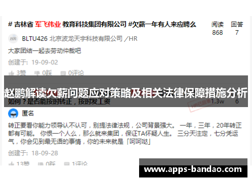 赵鹏解读欠薪问题应对策略及相关法律保障措施分析