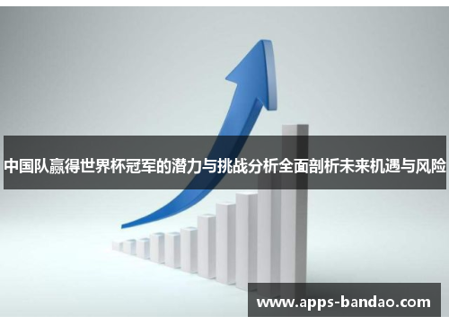 中国队赢得世界杯冠军的潜力与挑战分析全面剖析未来机遇与风险