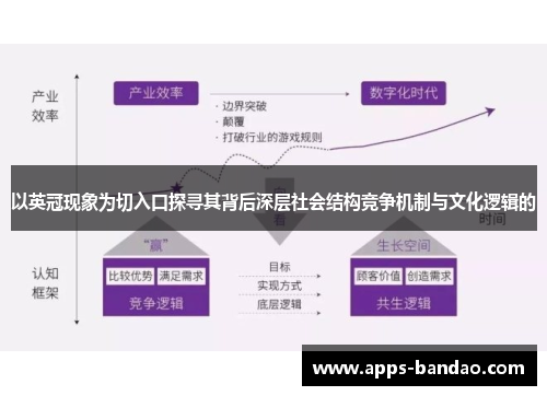 以英冠现象为切入口探寻其背后深层社会结构竞争机制与文化逻辑的 以英冠现象为切入口探寻其背后深层社会结构竞争机制与文化逻辑的