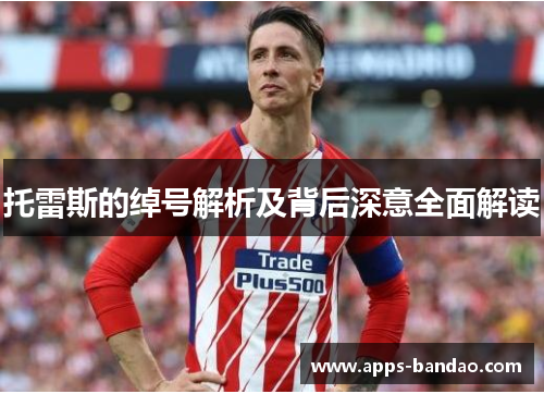 托雷斯的绰号解析及背后深意全面解读